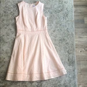 COPY - Calvin Klein Pink Lace Dress